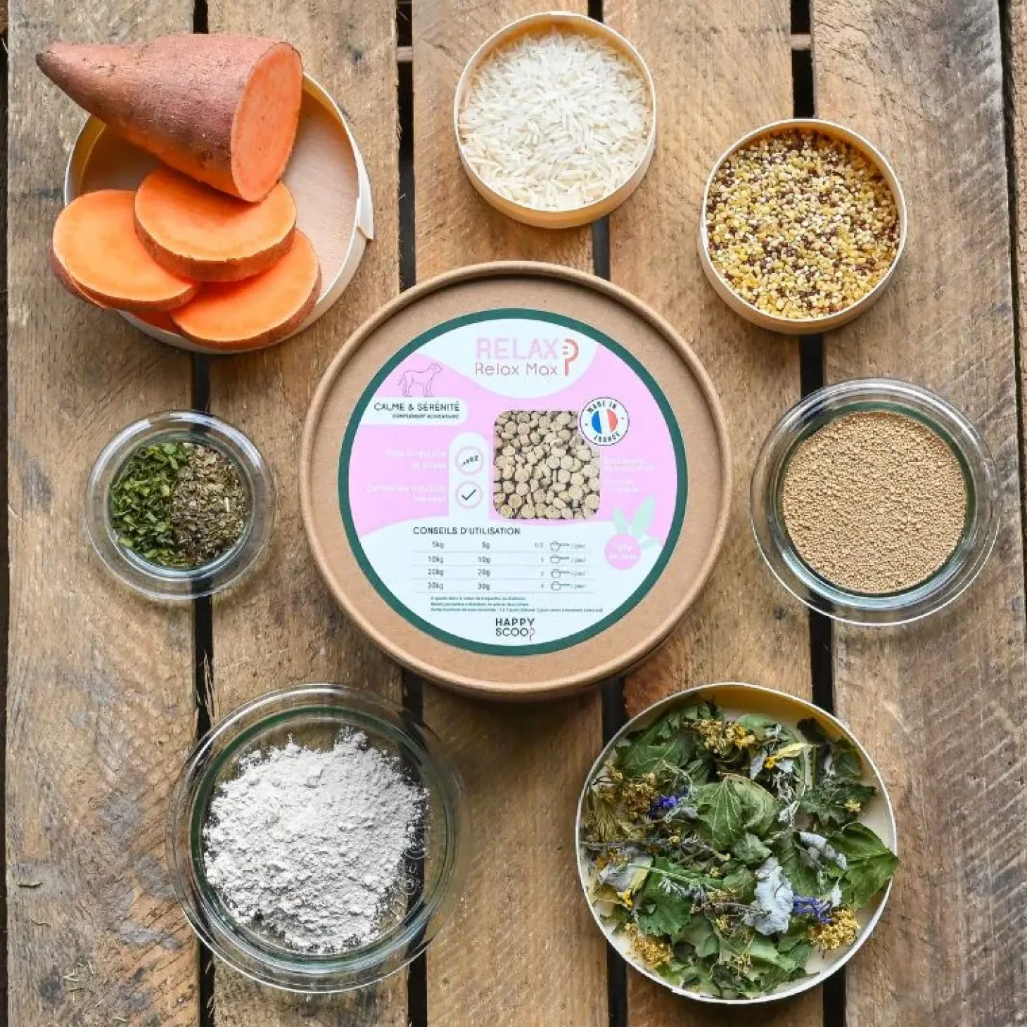 happy-scoop-relax-chien-MCSYYXJG-2.webp Online Happy Scoop - Relax Chien