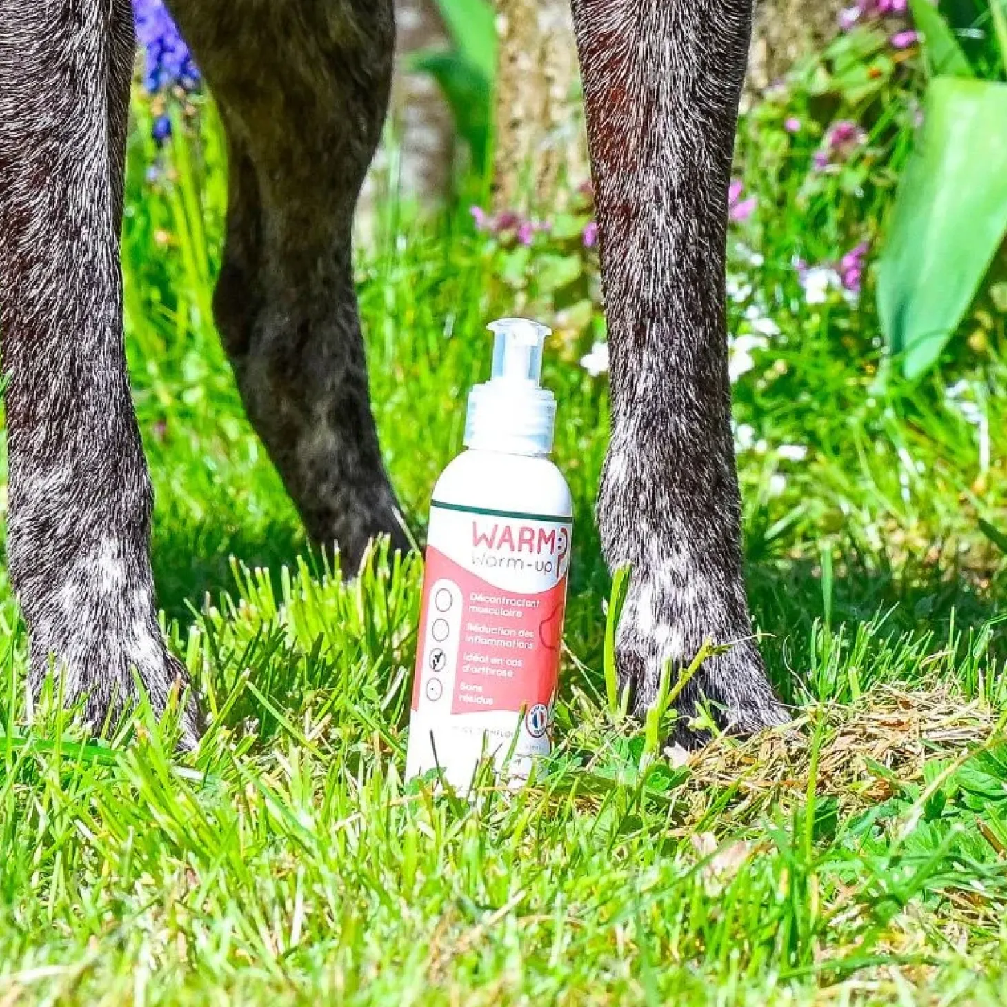 happy-scoop-warm-gel-de-mass-SqaGZwkS-1.webp Best Happy Scoop - Warm Gel De Massage Chien