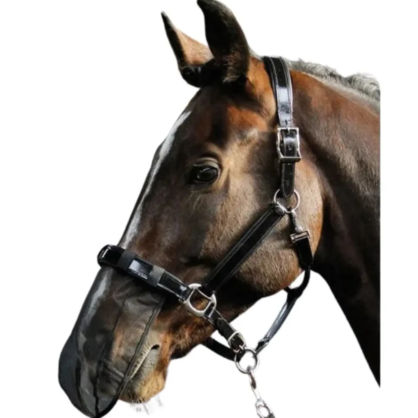 harrys-horse-protge-naseaux-an-YKoLJSqr-0.webp Fashion Harry's Horse Protège Naseaux Anti Mouche