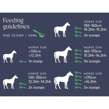 Best Hilton Herbs Herb Power