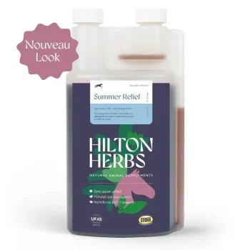 Fashion Hilton Herbs Shake No More Gold