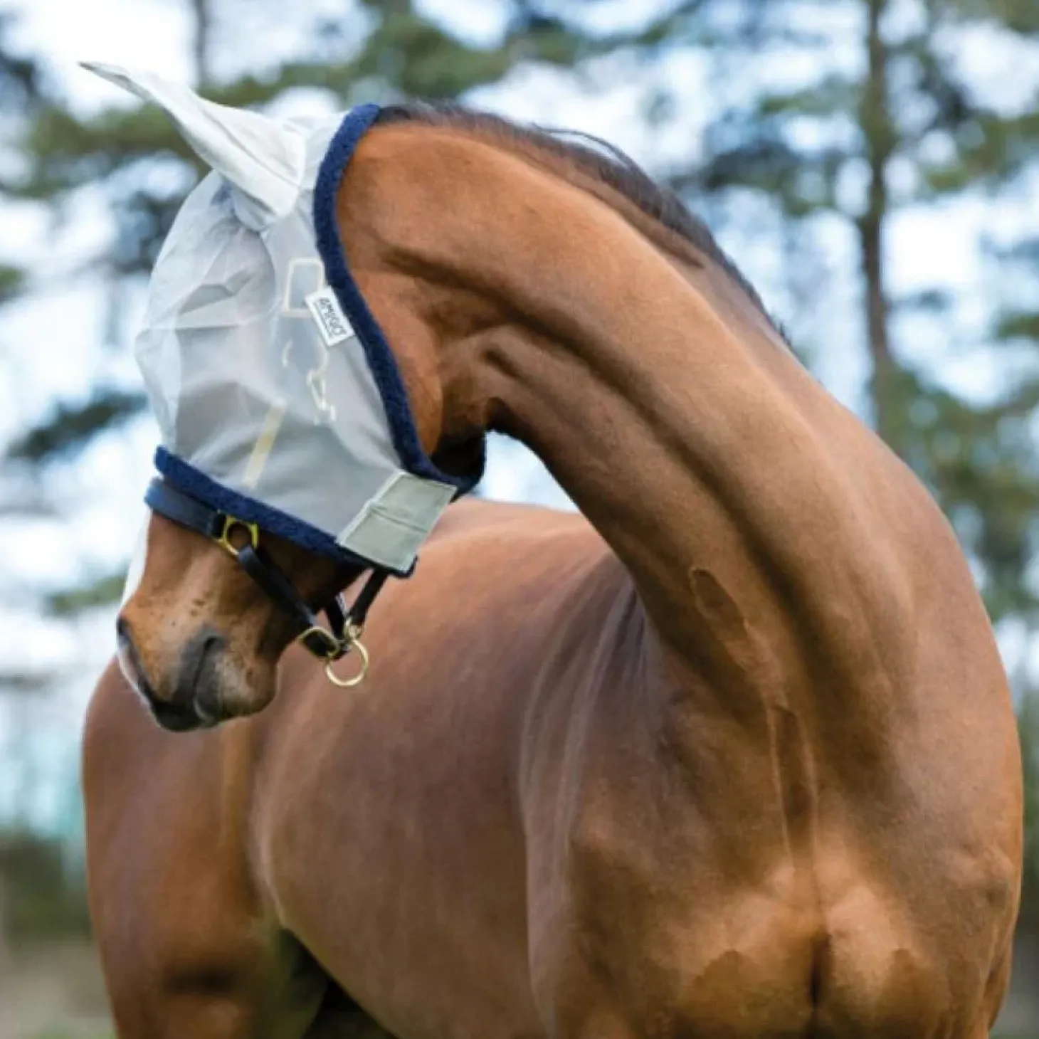 horseware-amigo-finemesh-flyma-EshIhgVS-0.webp Fashion Horseware Amigo Finemesh Flymask Masque Anti Mouche Cheval