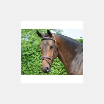 Sale Jump'In Bridon Crystal Collection Week - Cristal Marine