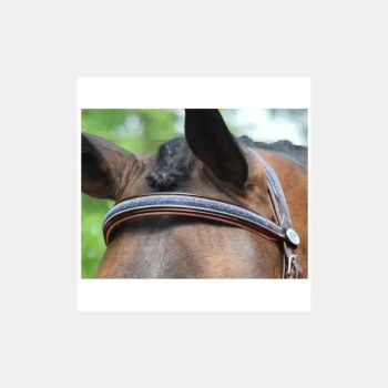 Sale Jump'In Bridon Crystal Collection Week - Cristal Marine