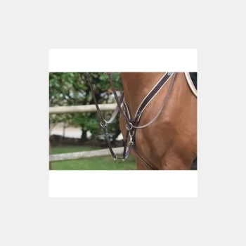 New Jump'In Collier De Chasse Élastique Et Martingale Noisette