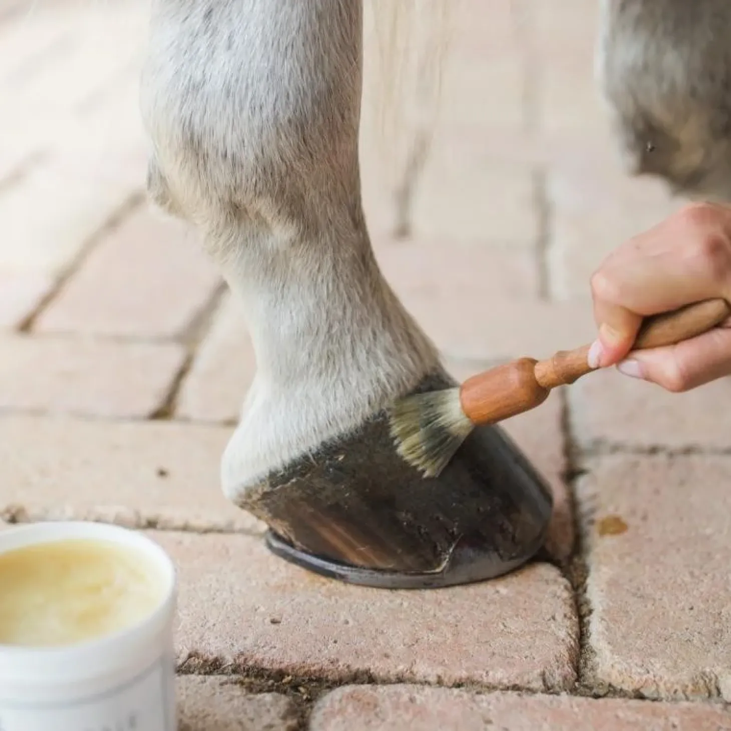 karitale-baume-de-soin-blond-p-jdykWWUW-3.webp Fashion Karitale Baume De Soin Blond Pour Sabot