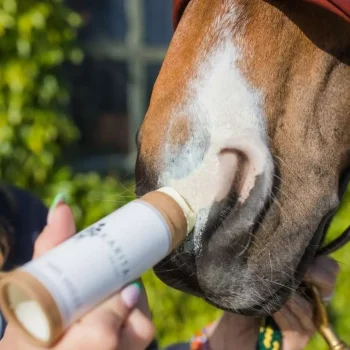 New Karitale Soin Anti UV