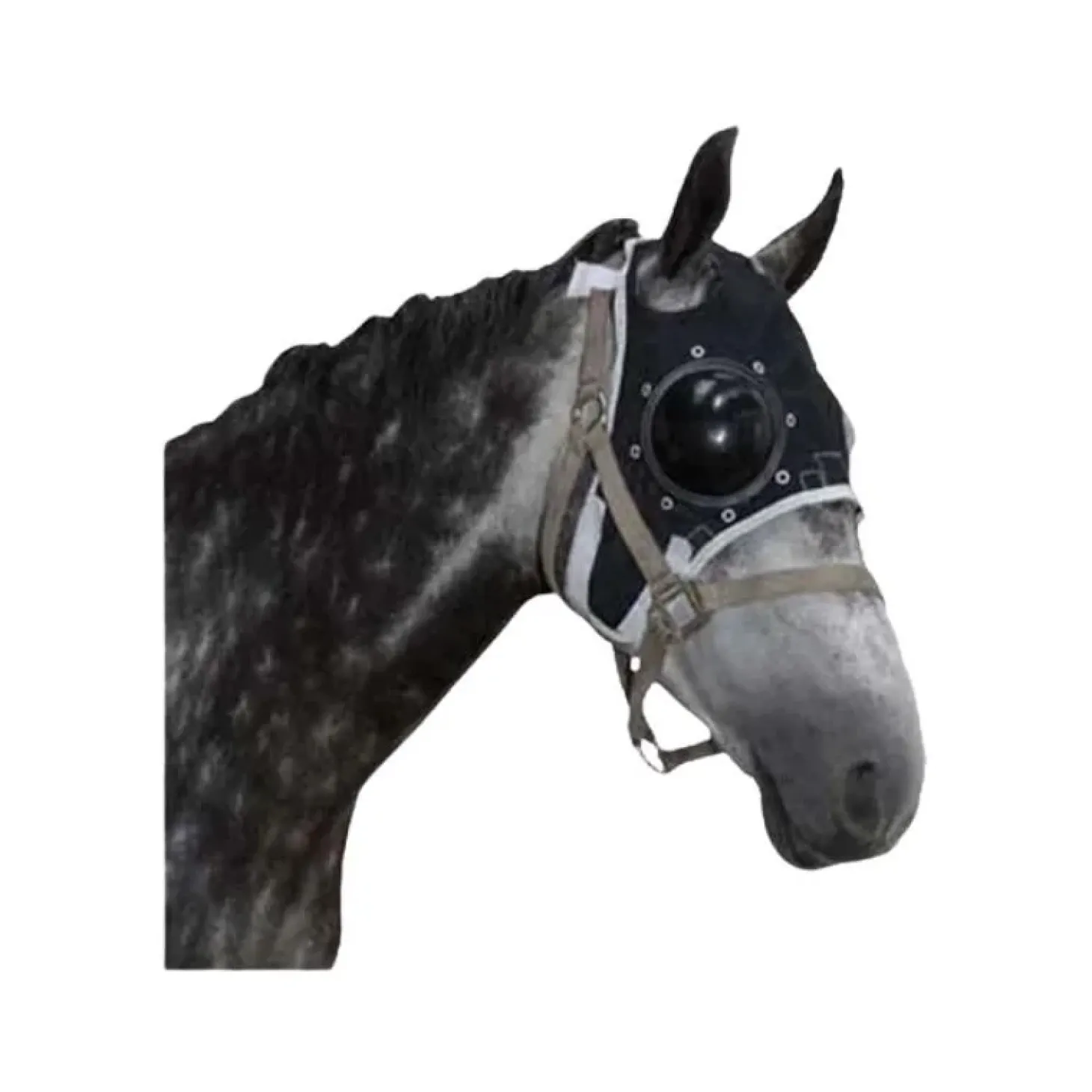 kruuse-masque-protge-oeil-equi-qFowLziT-0.webp New Kruuse Masque Protège Oeil Equivet