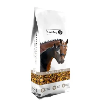 Best Lambey Master Elevage Floconné Poulinière & Poulain