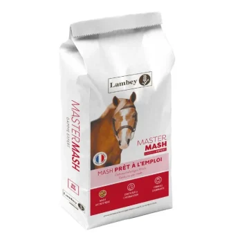 Online Lambey Master Mash