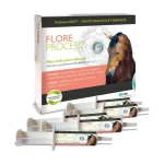 New Laboratoire MSD MSD Flore Process