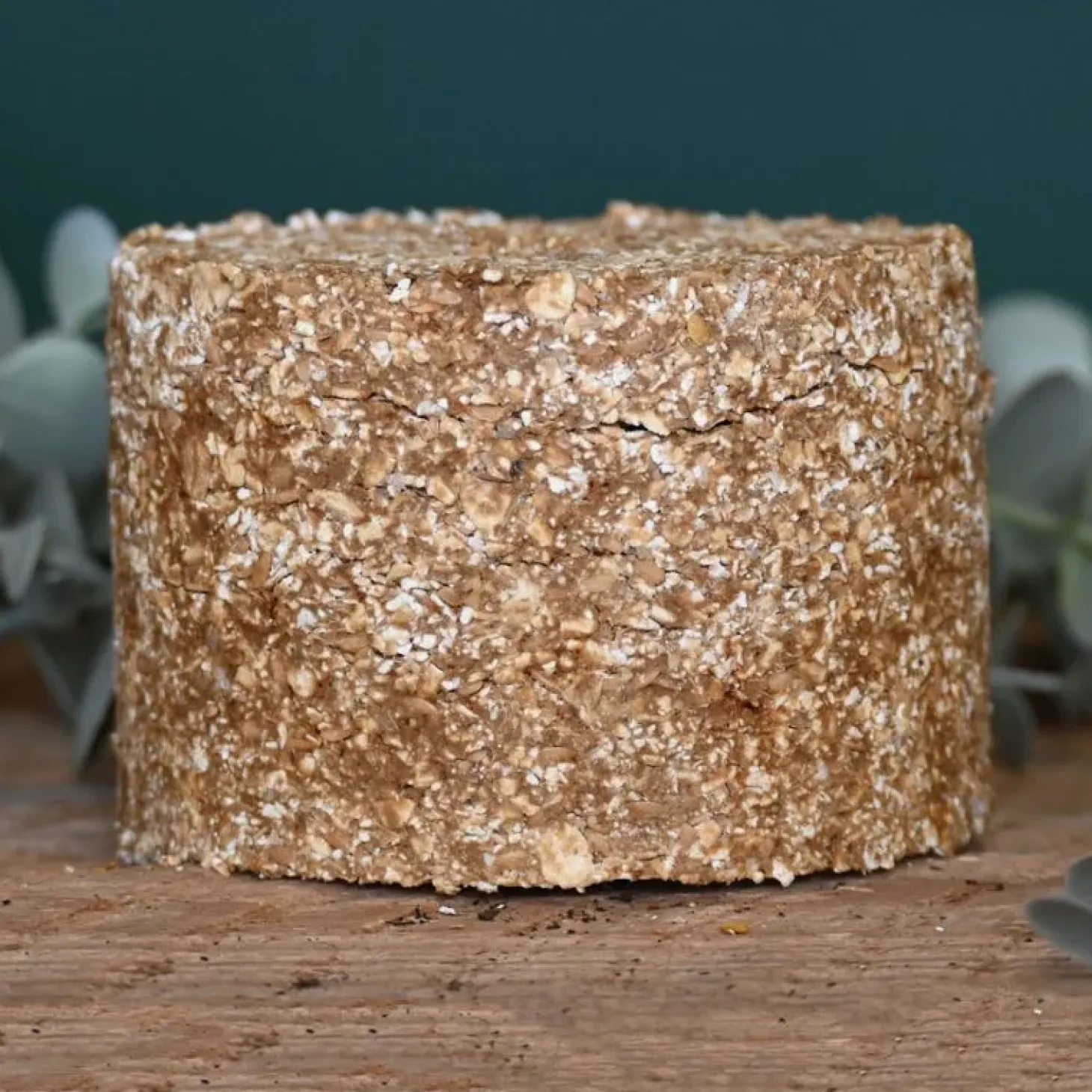 natural-innov-naturalrock-dige-NoBqWetE-2.webp Clearance Natural Innov Natural'Rock Digest