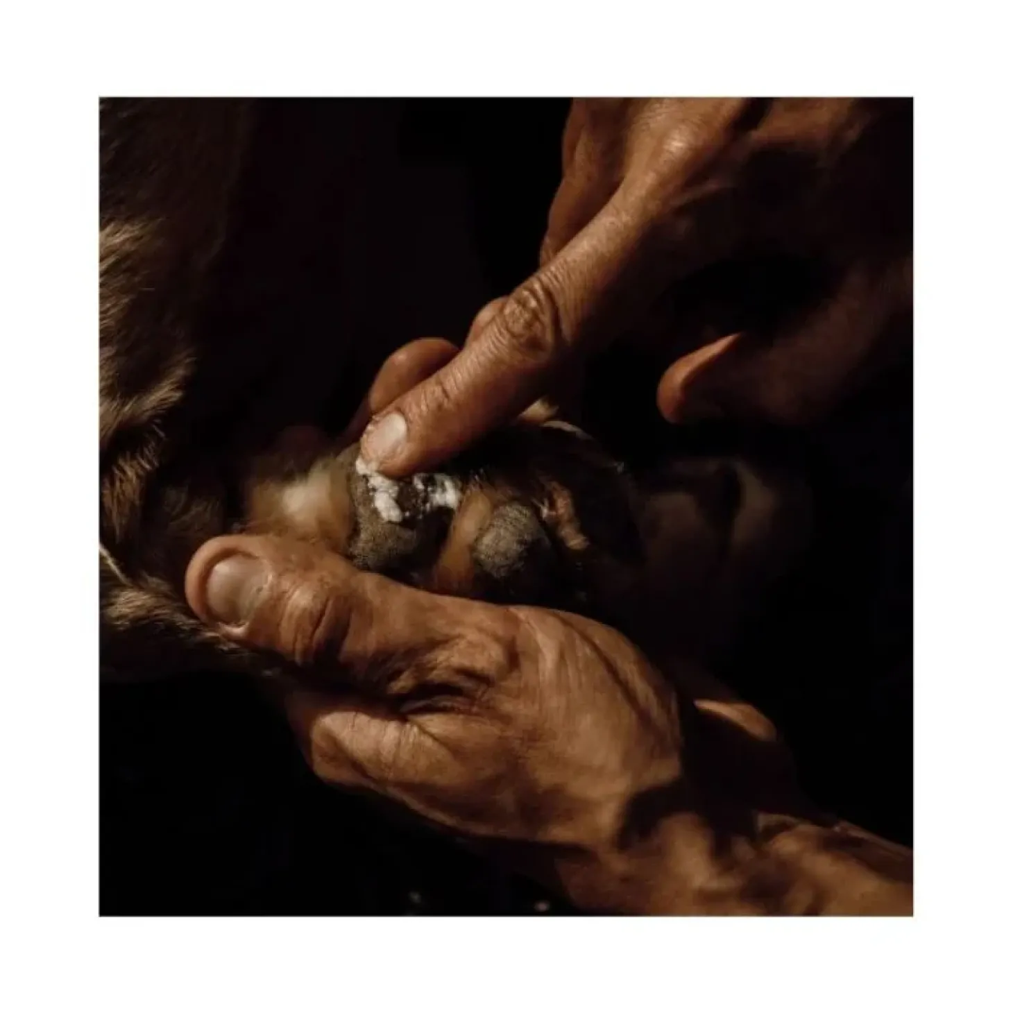 nellumbo-baume-naturel-coussin-vrYssIJi-1.webp Sale Nellumbo Baume Naturel Coussinets