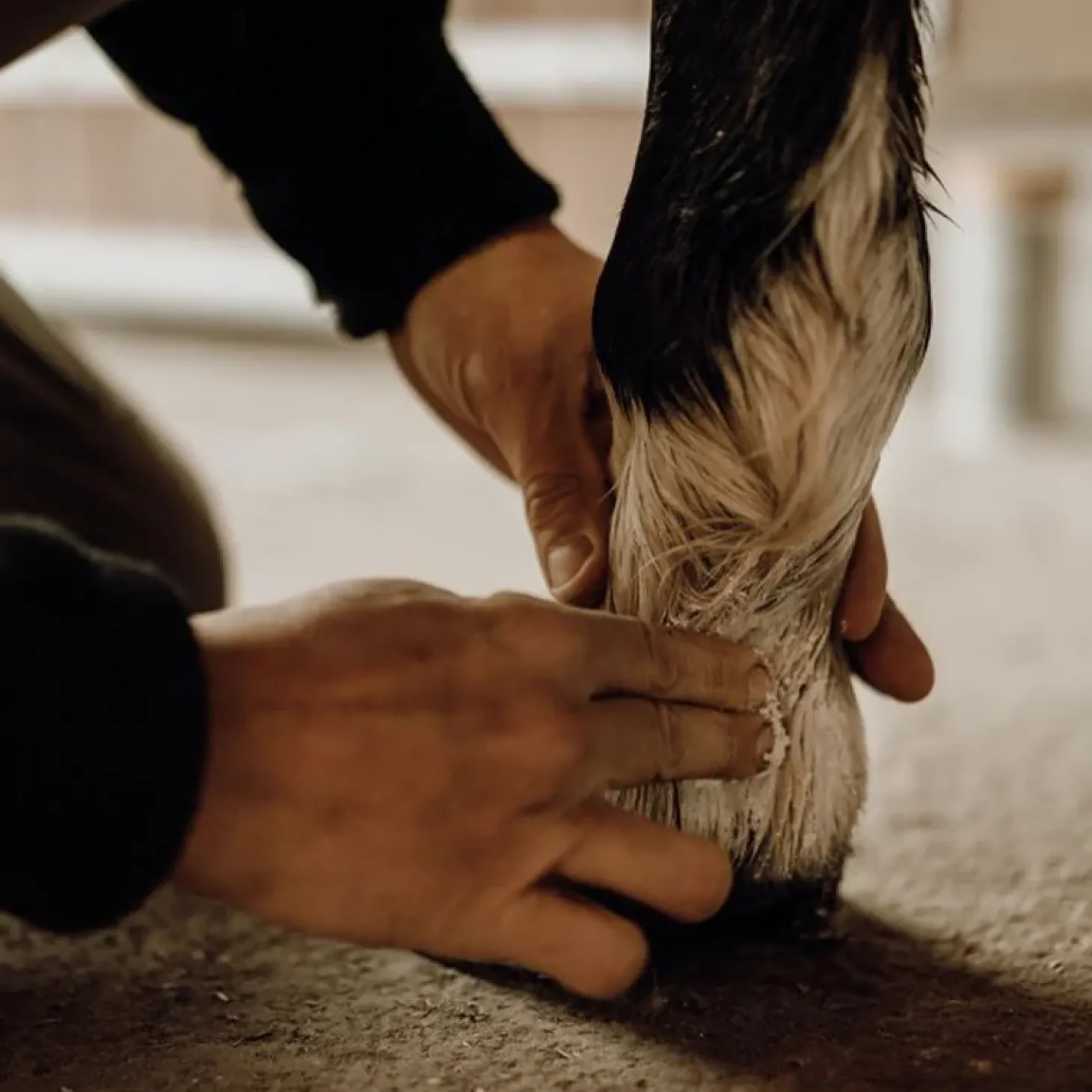 nellumbo-baume-protecteur-hyd-eAIDfWHb-1.webp Outlet Nellumbo Baume Protecteur & Hydratant