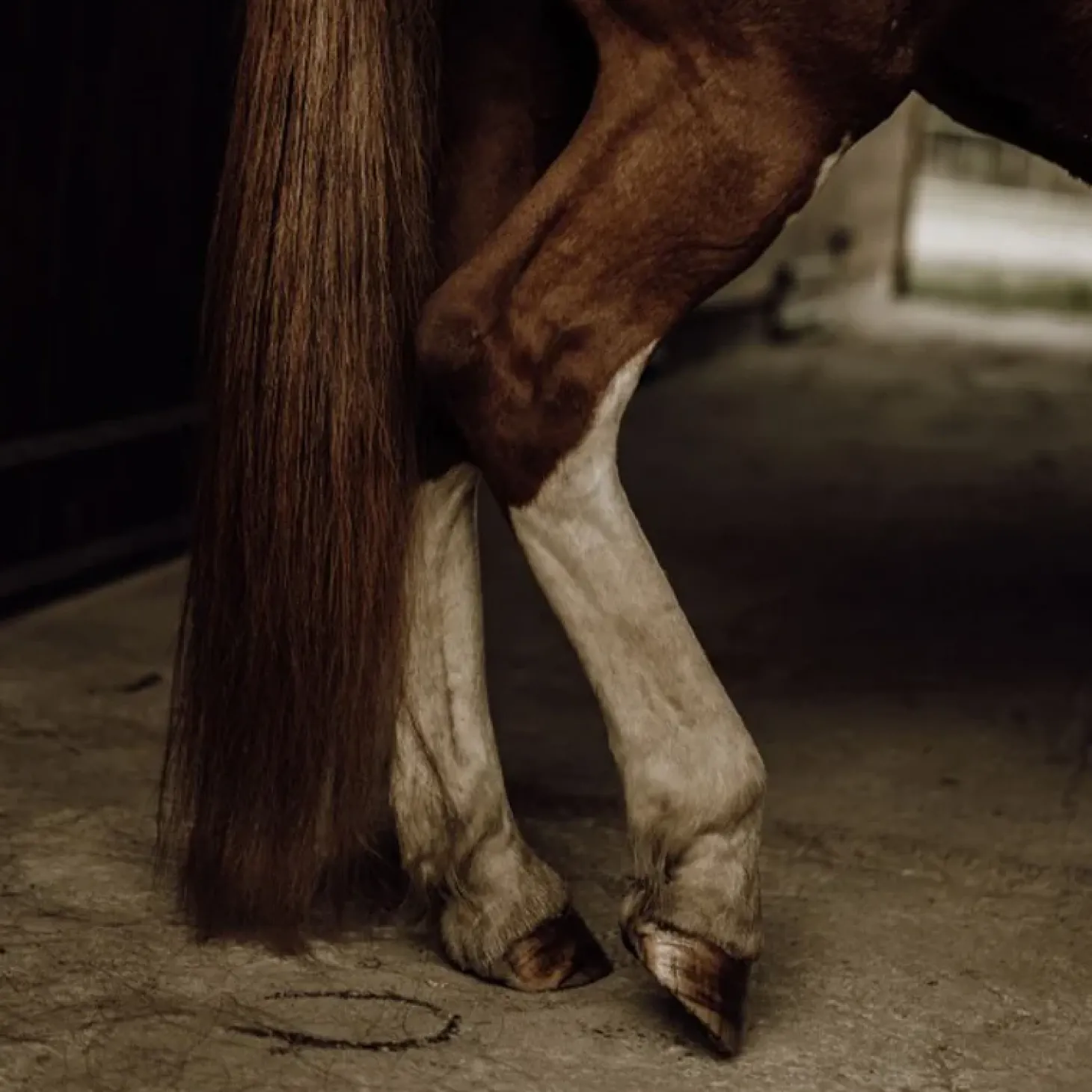 nellumbo-dmlant-naturel-crins-rDUtqAIi-2.webp Fashion Nellumbo Démêlant Naturel Crins