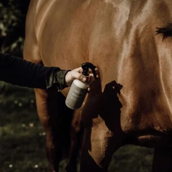 Fashion Nellumbo Répulsif Insectes