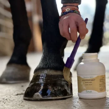 Clearance Nutragile Nutri Pied