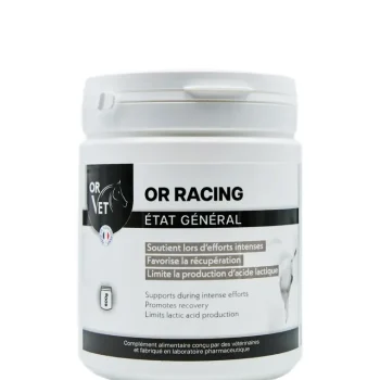 Fashion Or Vet Or Racing