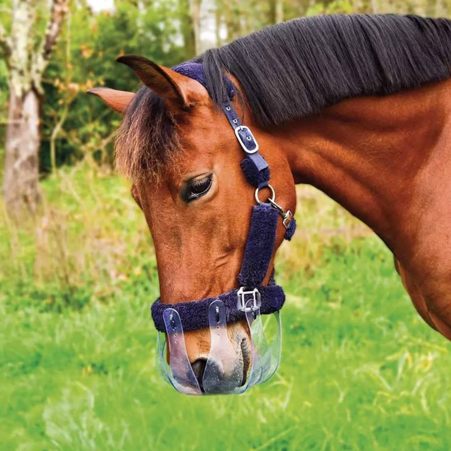 panier-stopfourbure-light-MiegZGsa-0.webp Discount Stop Fourbure Panier Stop’Fourbure Light