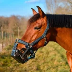 Fashion Stop Fourbure Panier Stop'Fourbure