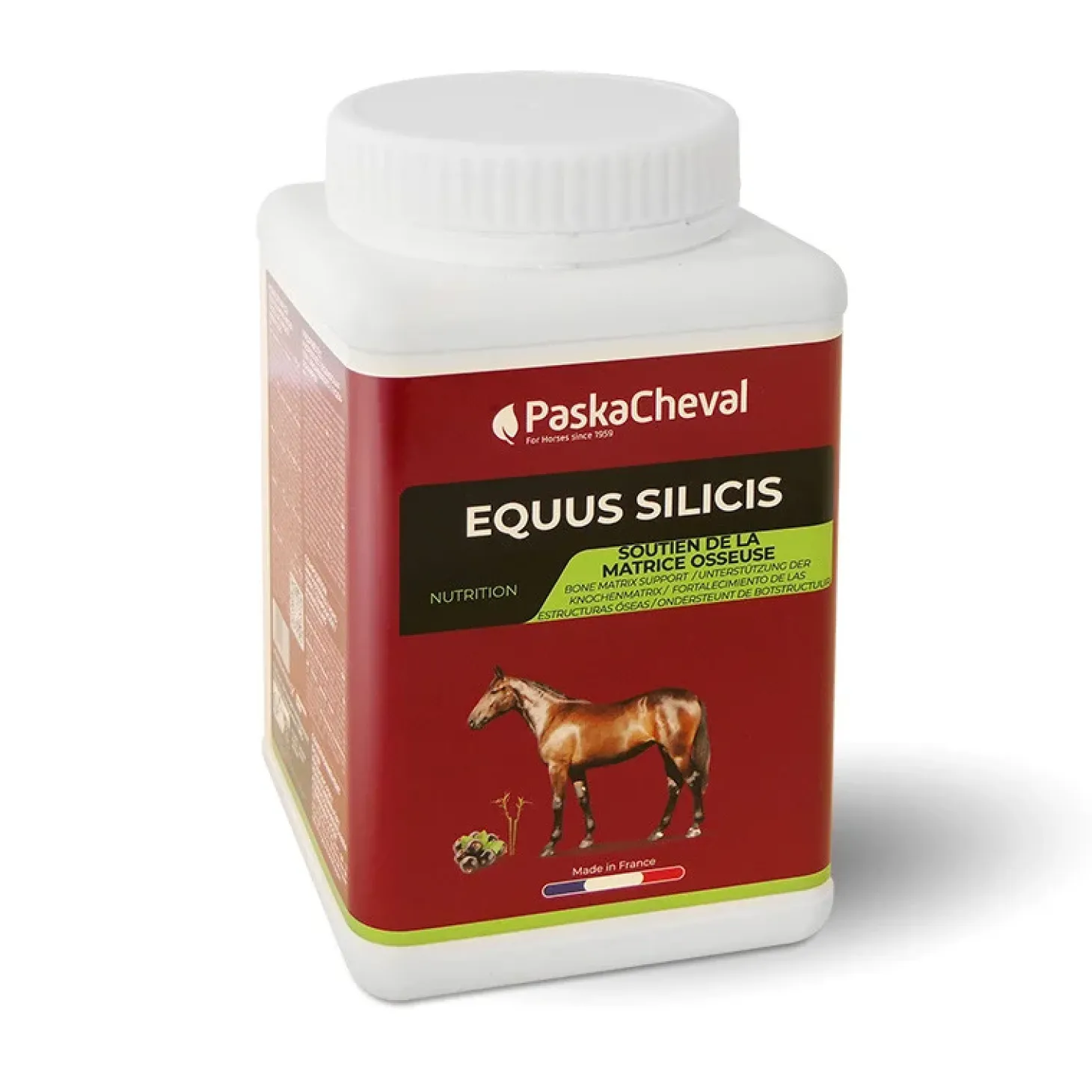 paskacheval-equus-silicis-cdigrTGK-0.webp Fashion Paskacheval Equus Silicis