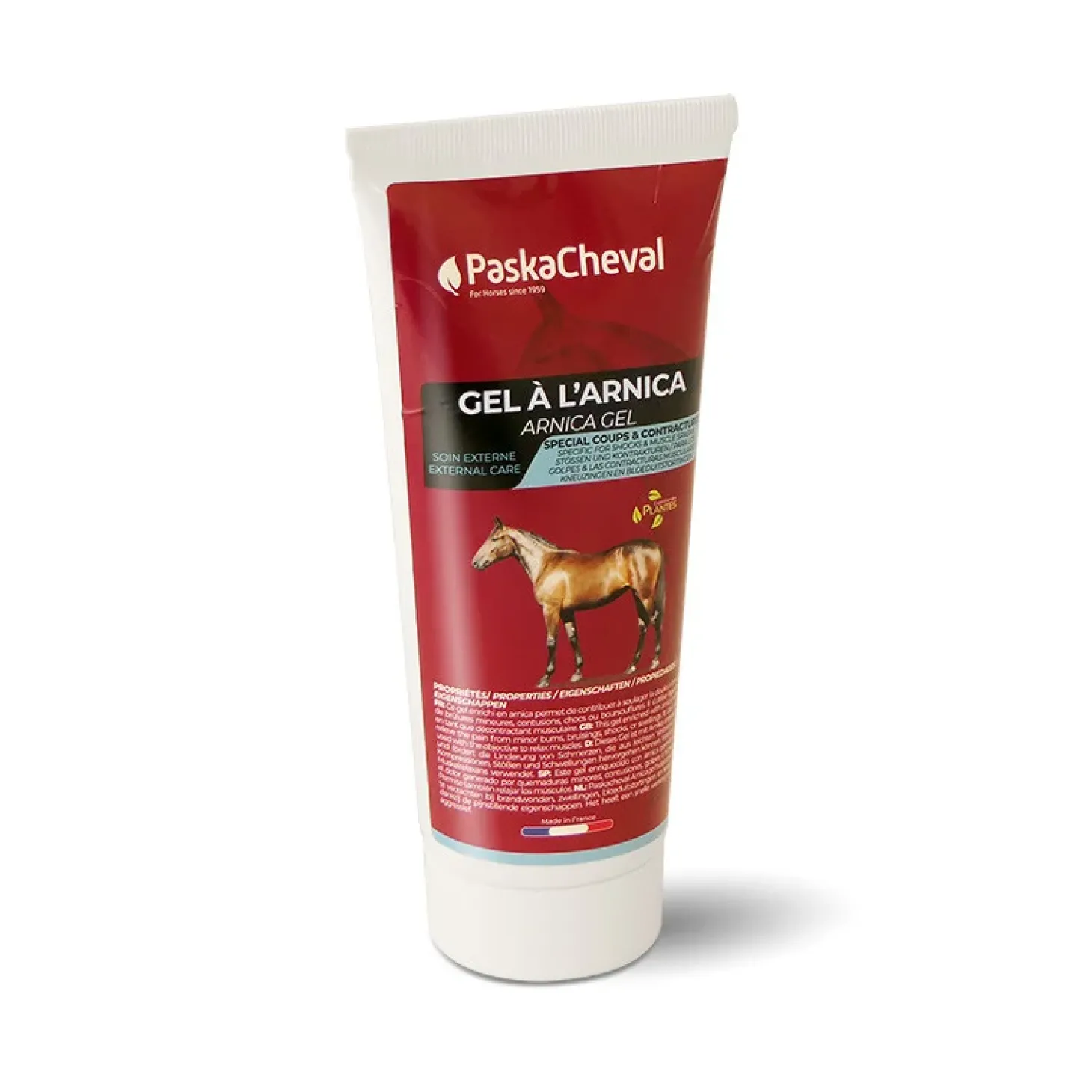 paskacheval-gel-larnica-TFsysiKX-0.webp Outlet Paskacheval Gel à L'Arnica