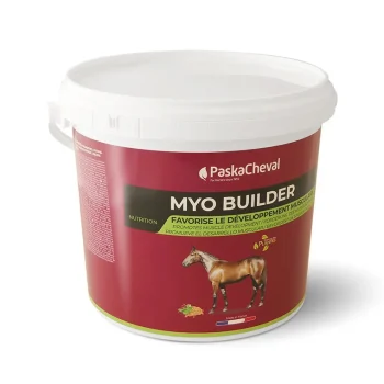 Best Paskacheval Myo Builder