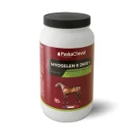 paskacheval-myoselen-e2500-TEwBgspb-0.webp