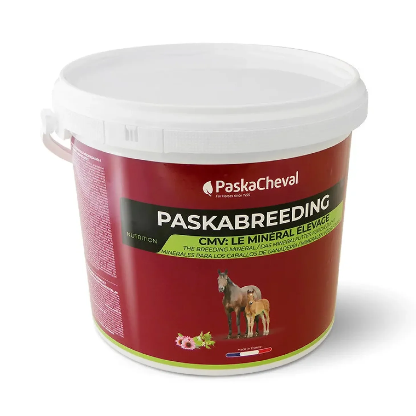 paskacheval-paskabreeding-cmv-gihrIriY-0.webp Sale Paskacheval Paskabreeding CMV Cheval
