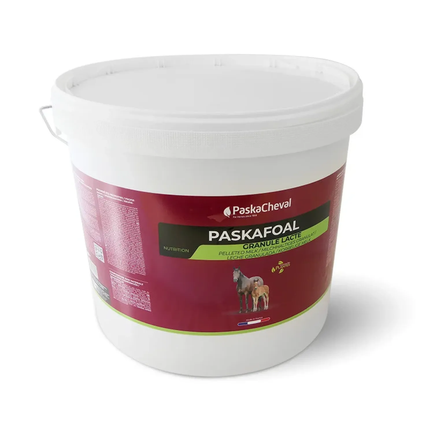 paskacheval-paskafoal-compleme-VcyWuJyK-0.webp Hot Paskacheval PaskaFoal Complement Poulain