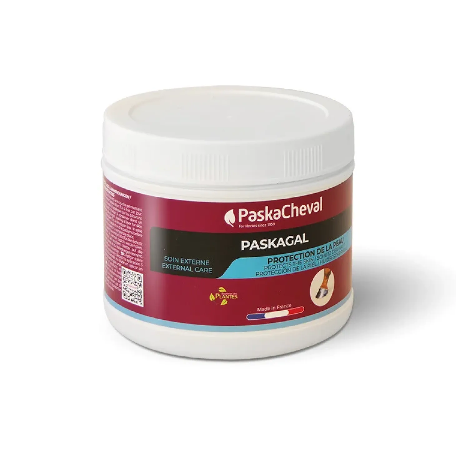 paskacheval-paskagal-irritatio-pzJqVIDt-0.webp New Paskacheval Paskagal Irritations Paturon