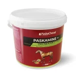 Best Paskacheval Paskamine CMV Cheval