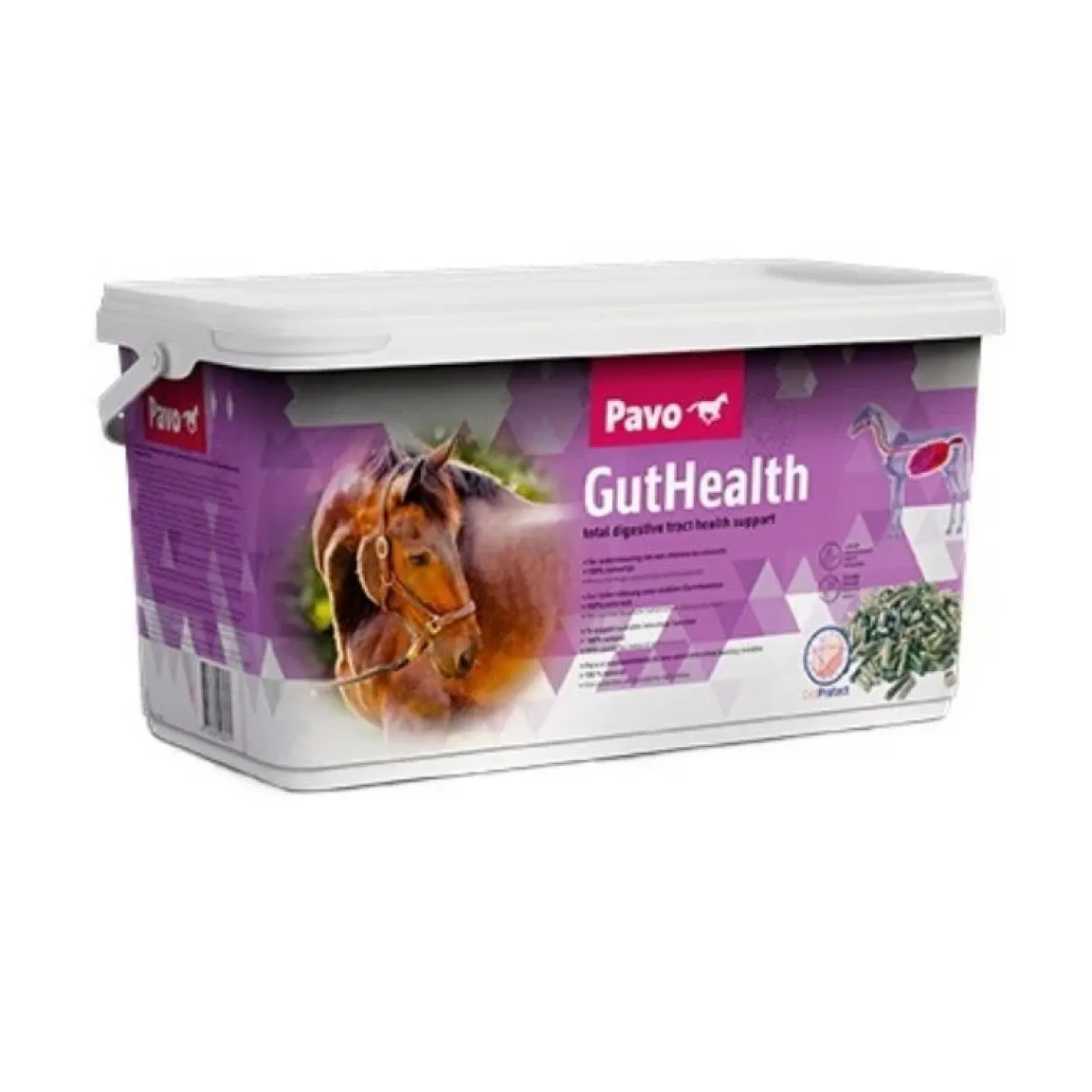 pavo-guthealth-HMIiFQyb-0.webp Hot Pavo GutHealth