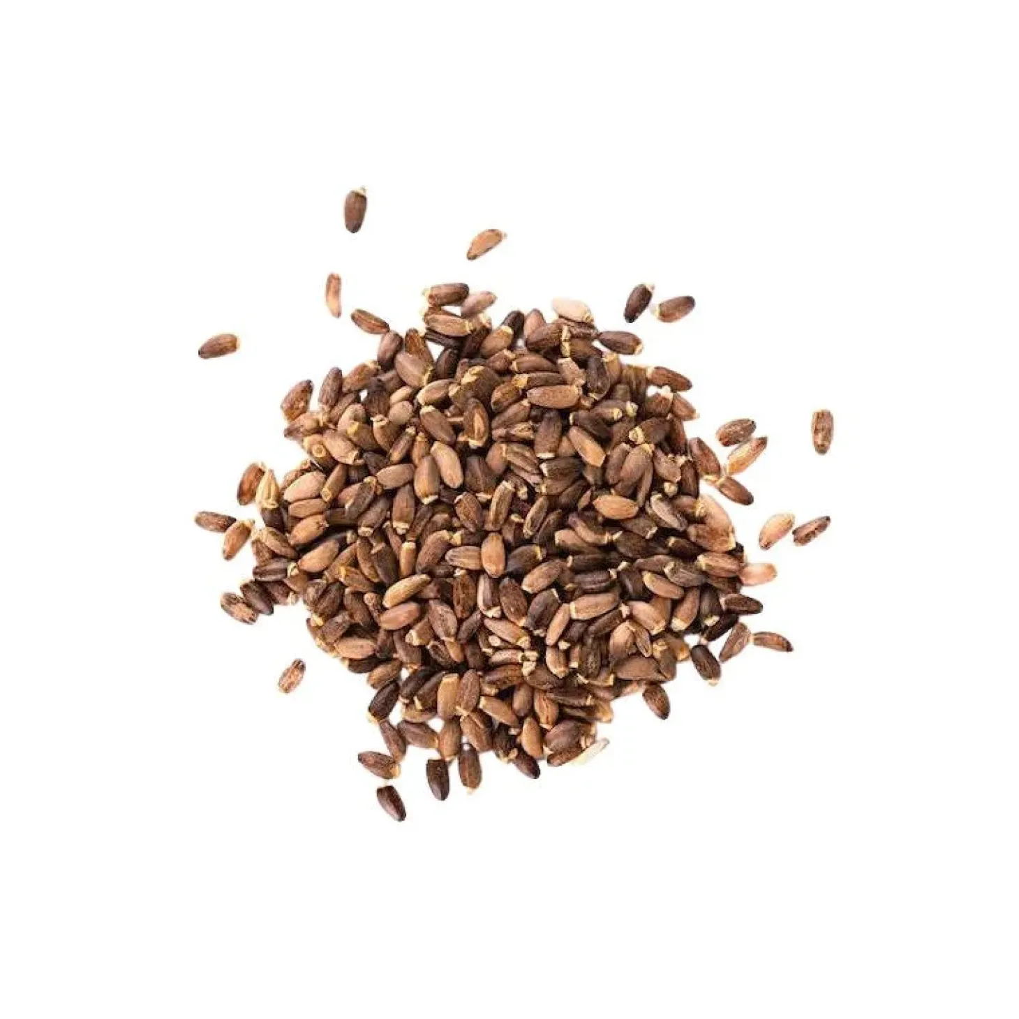 phytology-vetcare-chardon-mari-fEgSVaXX-1.webp Sale Phytology VetCare Chardon Marie Pur Détox Cheval