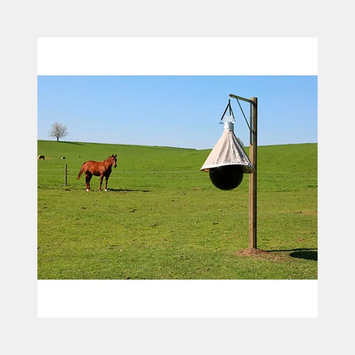 pige-taons-taonx-eco-kerbl-CTDjsXsN-1.webp Fashion Piège à Taons TaonX Eco KERBL