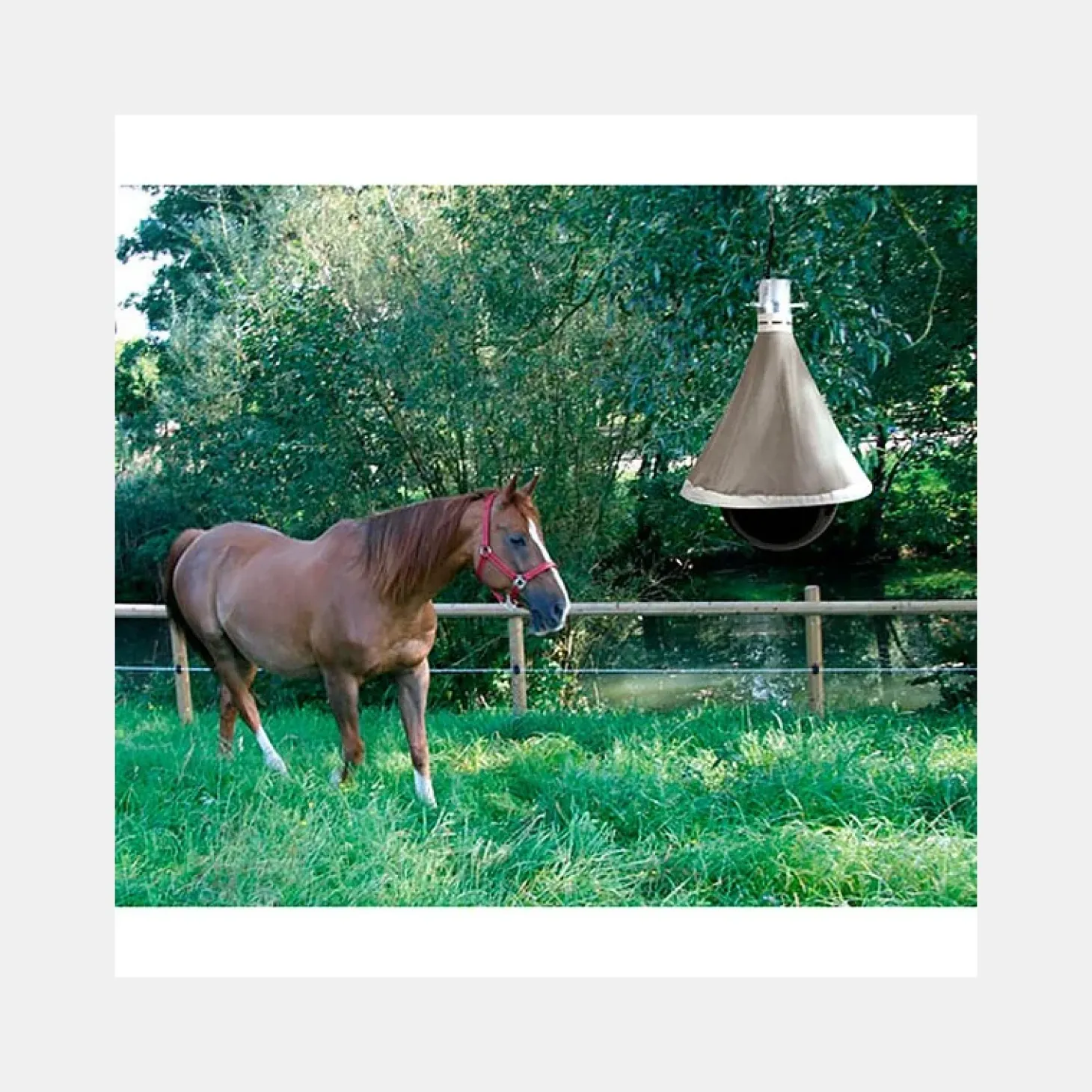 pige-taons-taonx-eco-kerbl-CTDjsXsN-3.webp Fashion Piège à Taons TaonX Eco KERBL