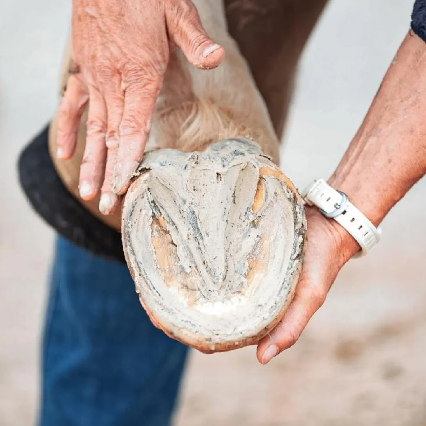 ravene-pediplaste-oMTNjAEF-1.webp Fashion Ravene Pediplaste