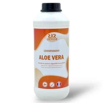 Sale Rekor Aloe Vera Juice