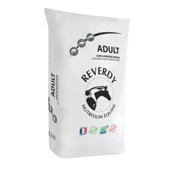 Outlet Reverdy Adult (prix Dégressif)