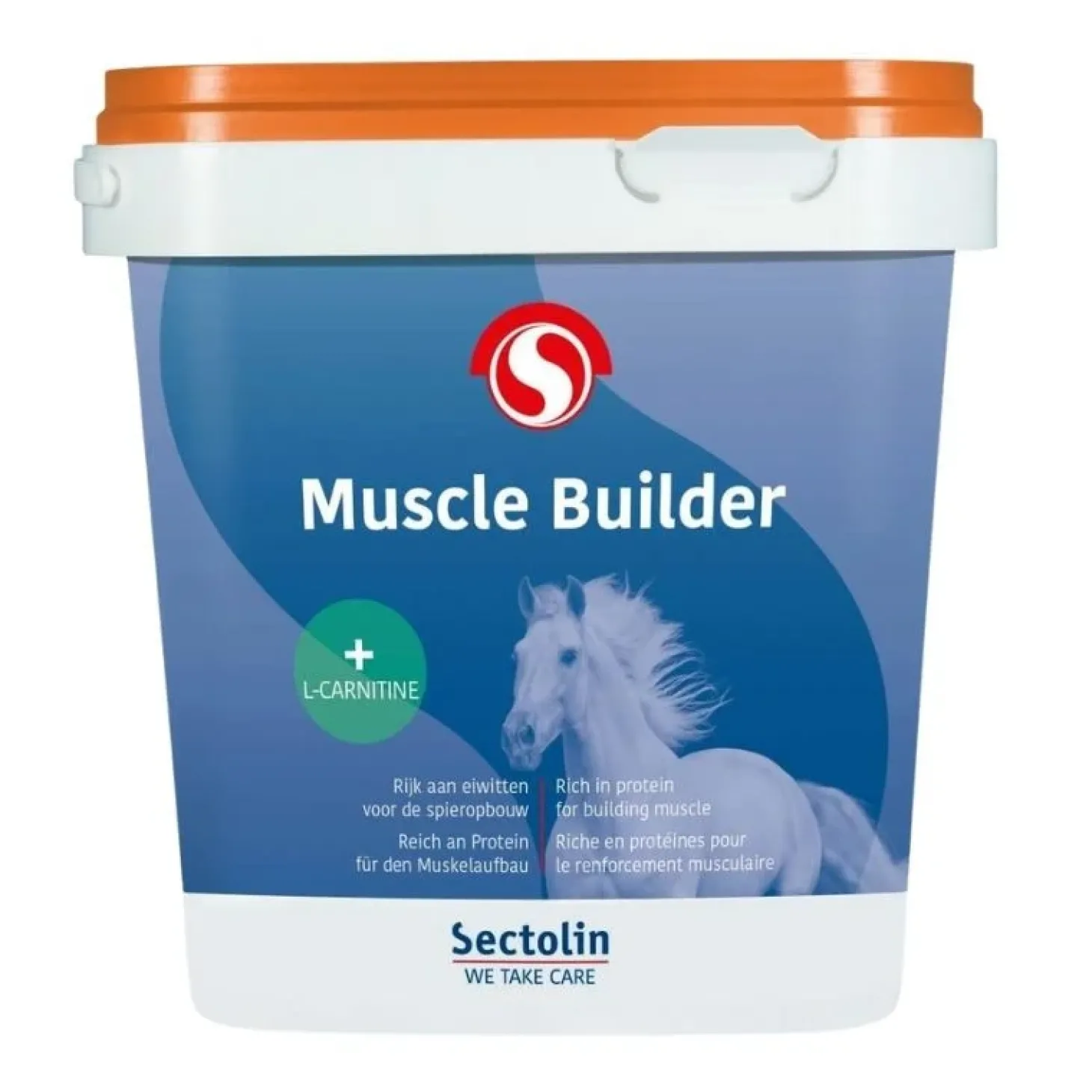 sectolin-muscle-builder-iNWUhcXQ-0.webp Online Sectolin Muscle Builder