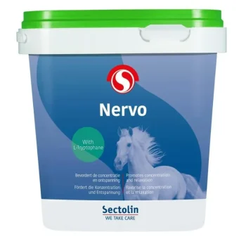 Fashion Sectolin Nervo